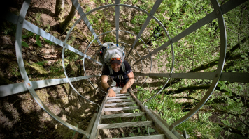 Laddertjeswandeling